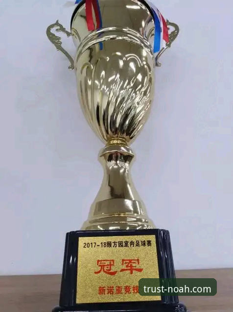 诺亚体育合法吗最新版 vs 传统体育平台：哪个更值得选择？